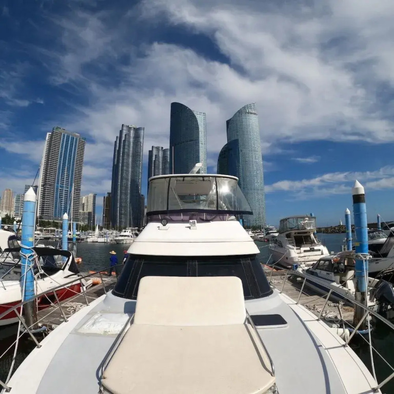 Yacht King