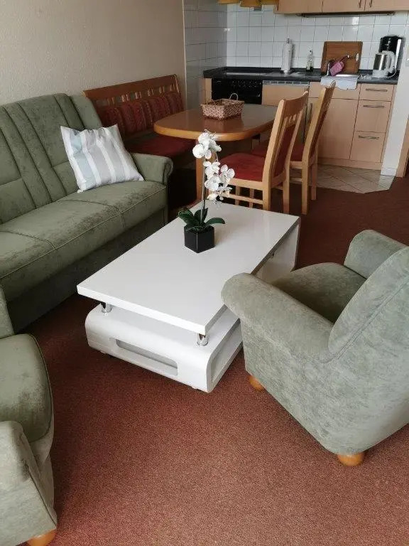 Ferienwohnung Harz Hohegeiß App 569