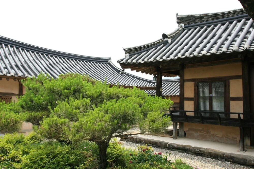 Wonhakgoga