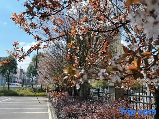 Lin yue yun Garden Hotel