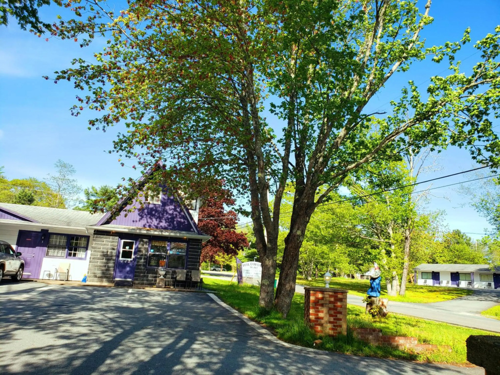 Wildwood Motel