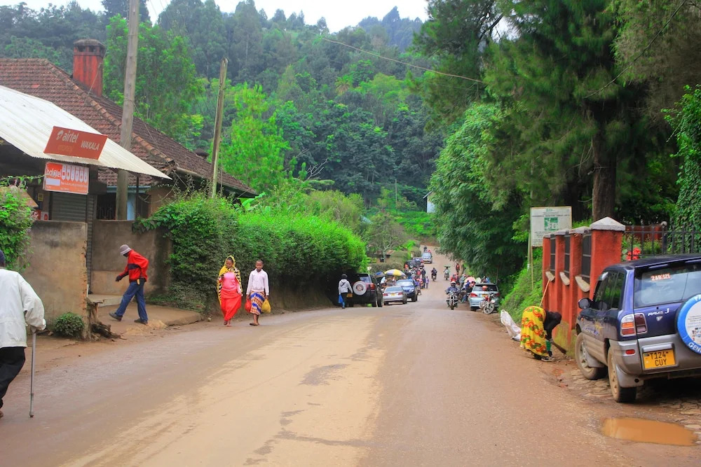 LUSHOTO EXECUTIVE LODGE