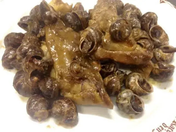 Hostal Torras