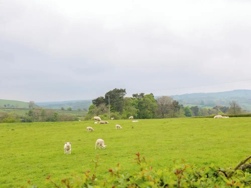Upper Hurst Farmhouse