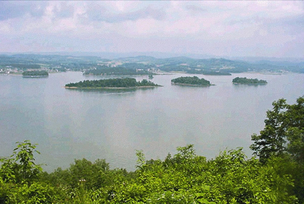 Douglas Lake Hilltop Hideaway
