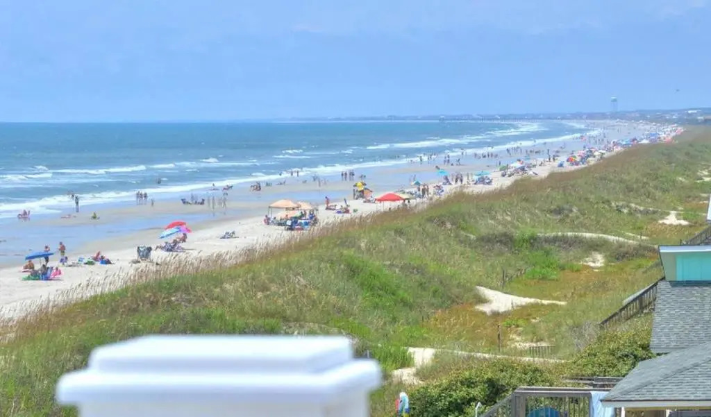 A Perfect View
