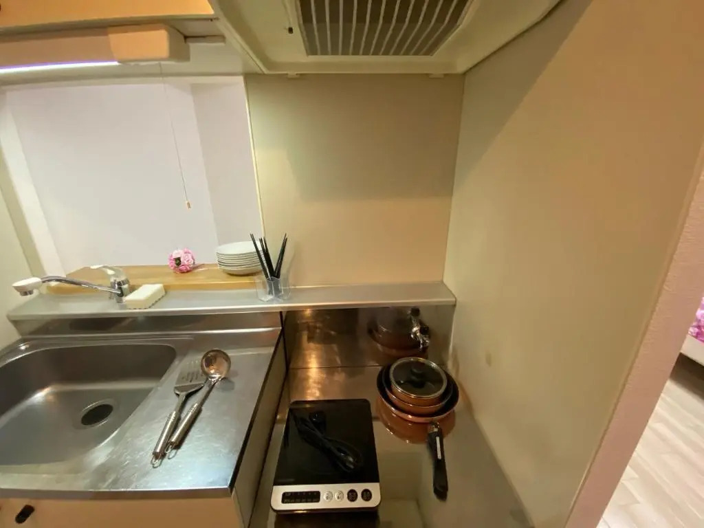Downtown area Spacious cozy room Susukino IK301