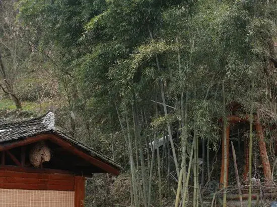 Wudangshan Taiziju Inn