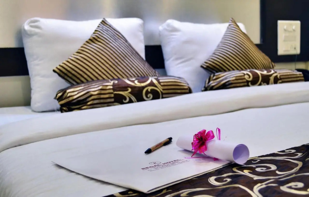 Hotel Shanti Palace