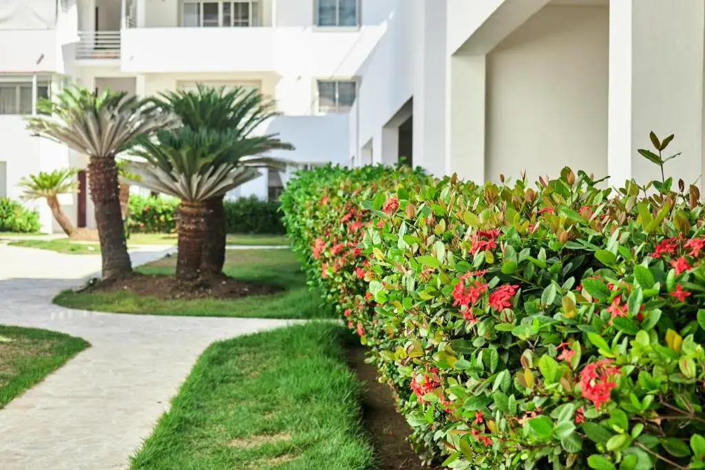 Las Terrazas Condo Punta Cana Beach - Los Corales Village