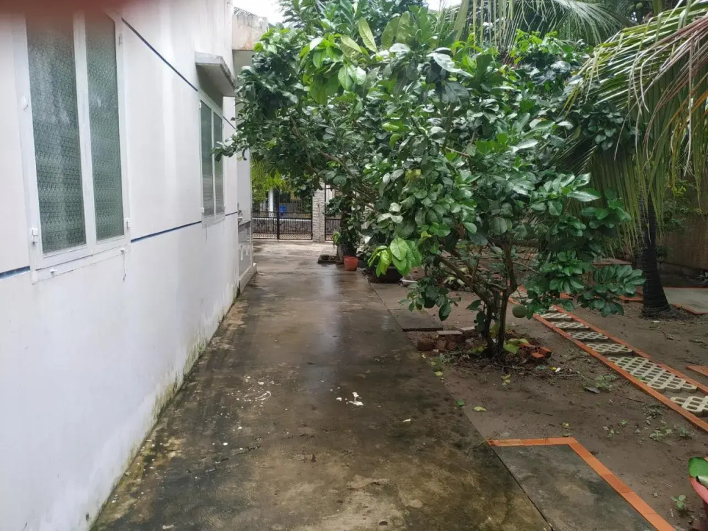 Hoa Dua Homestay