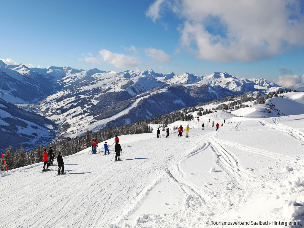 Saalbacher Perle (SLB350)
