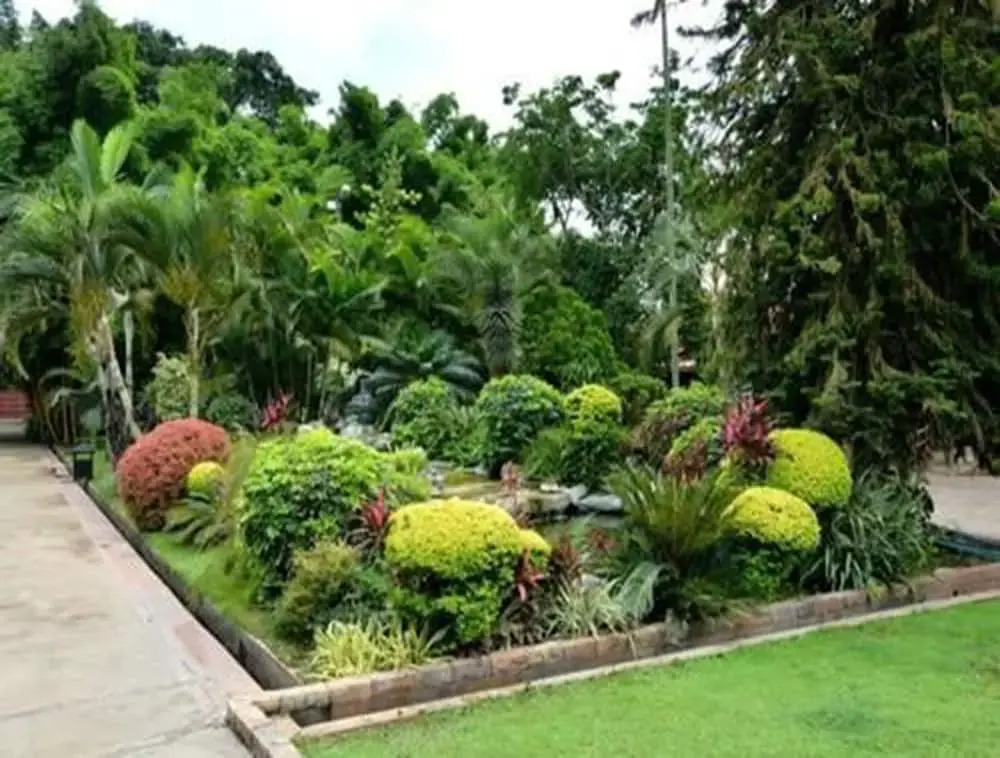 Hotel Aster