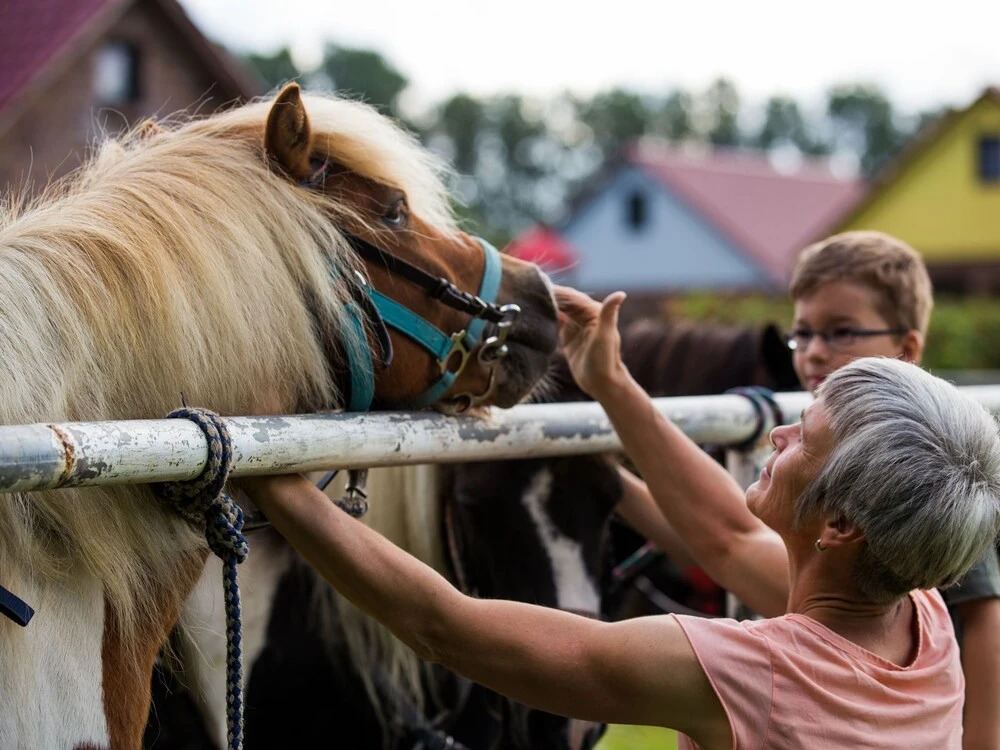 Ravishing Apartment in Rerik With Fireplace