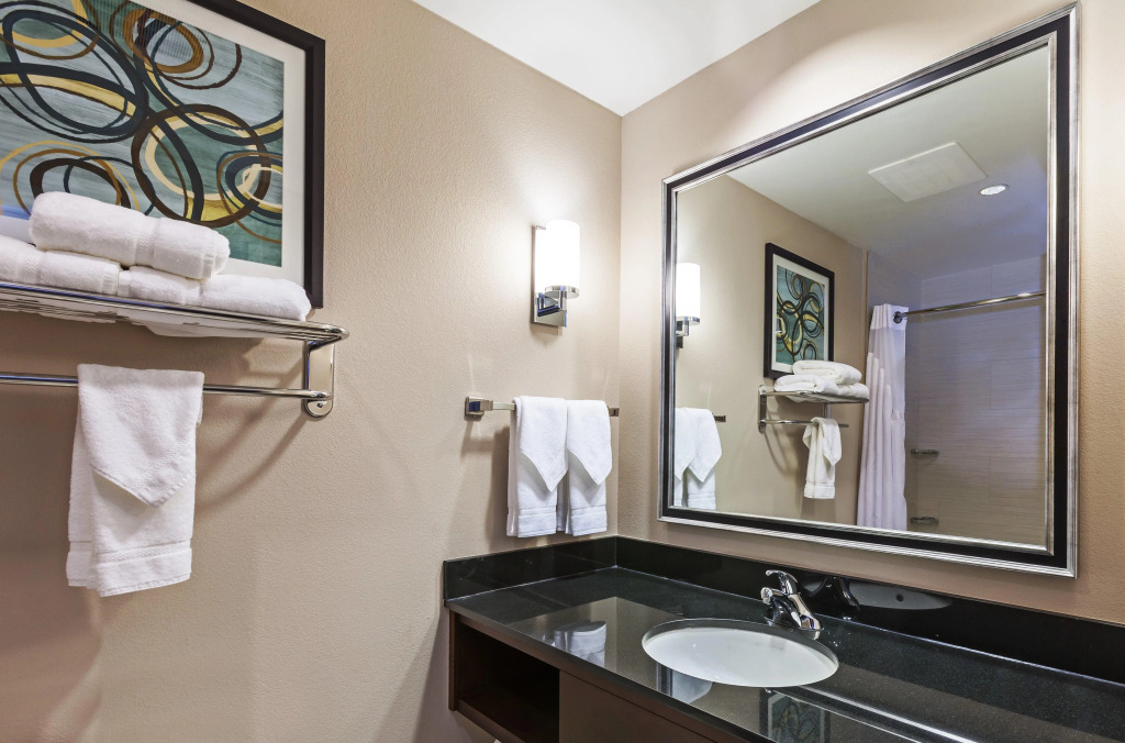 Clarion Hotel The Colony - Plano West