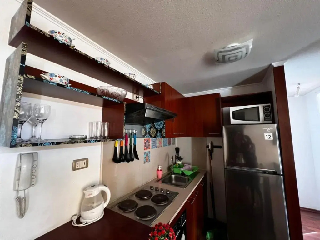 Apartamentos Plaza Bulnes