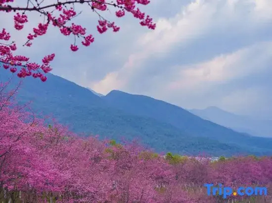 Xian Shiguang Scenic Apartment (Shuanglang Erhai)