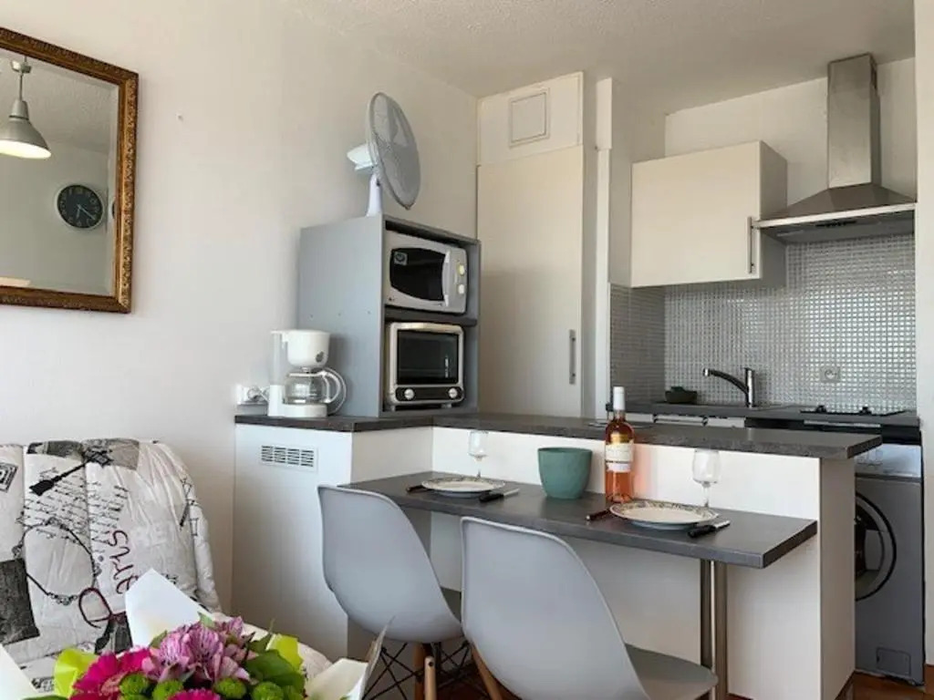 Appartement Balaruc-les-Bains, 1 pièce, 4 personnes - FR-1-503-77