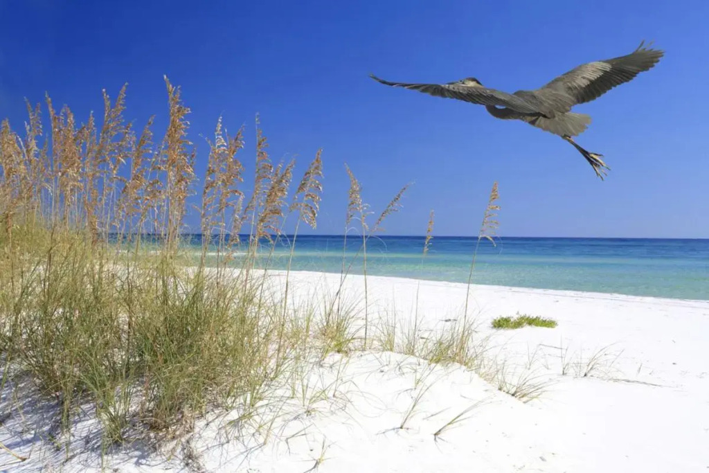 Cozy Canaveral Beach Condo! Next to NASA Launch Site