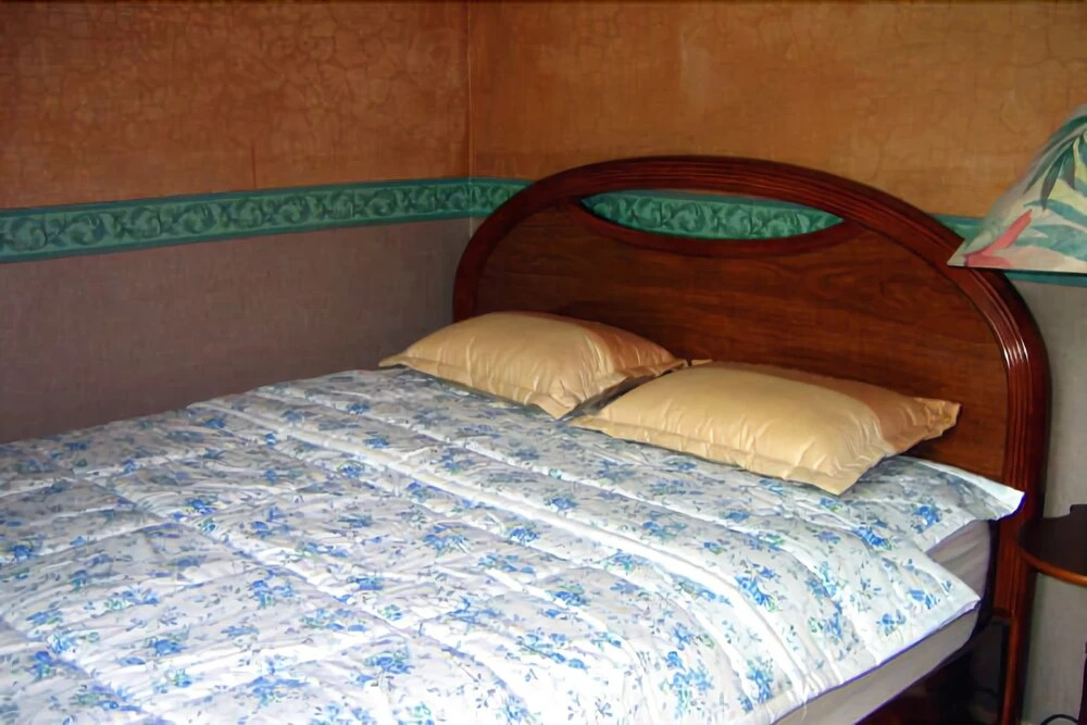 Danyang Geumsusan Log Pension