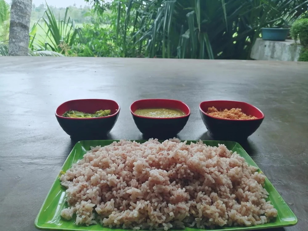 Viveka Inn Guest and Yala Safari