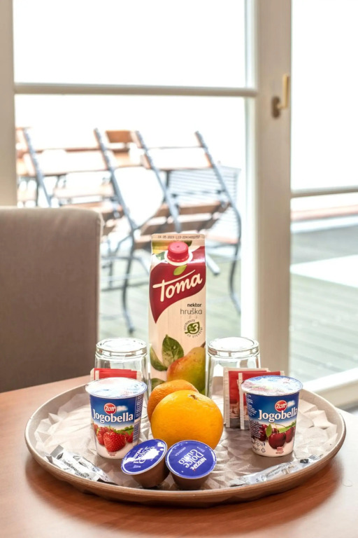 Aparthotel Tycho de Brahe l Prague Castle