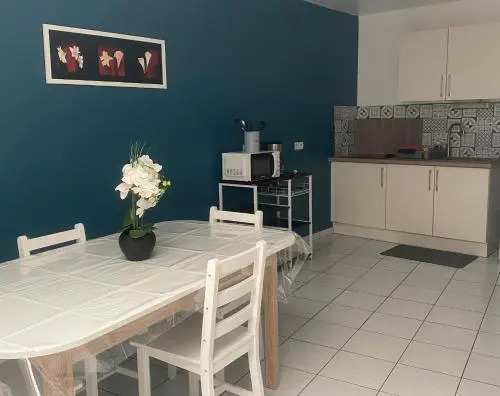 Grand Et Joli Appartement Centre De Douai D4