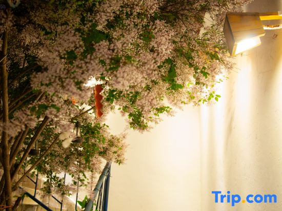 Lhasa Cangwu Homestay
