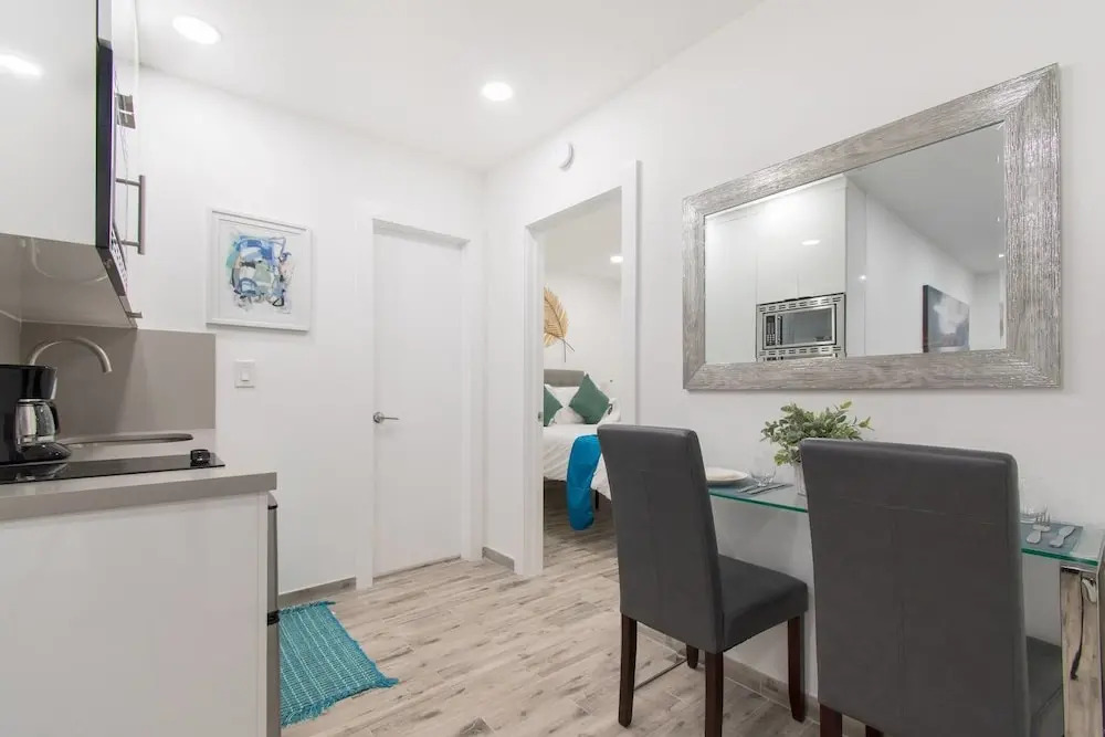 Newly Renovated 1 Bedroom Apt Designer Unit # 3