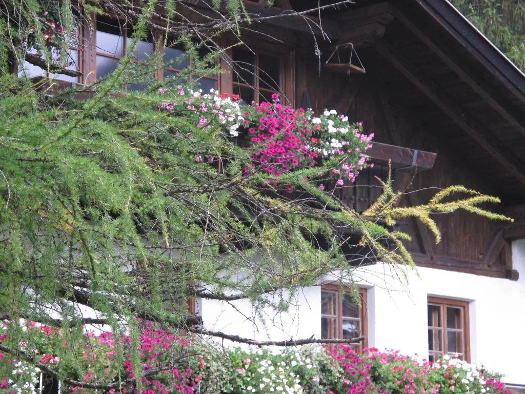 Boderhof