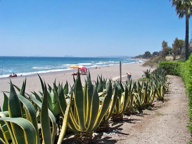 Mare Estepona Hotel