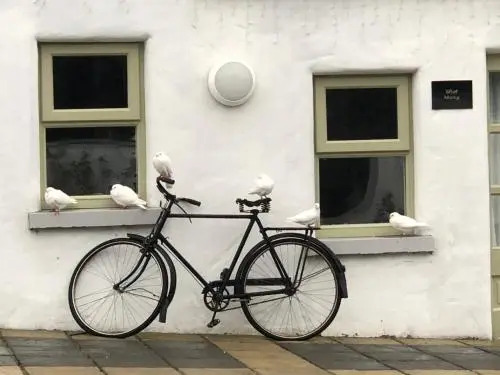 The Carriage Houses at Beechpark House