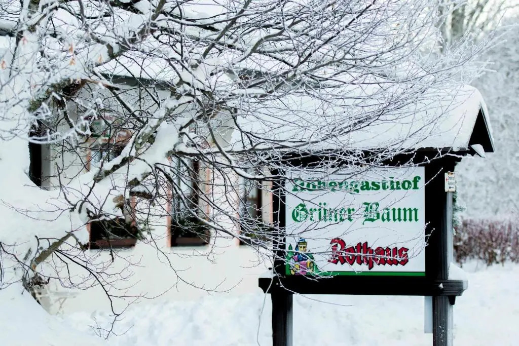 Hotel & Restaurant Grüner Baum - Die Grüne Oase Am Feldberg