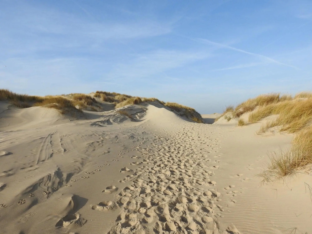 Holiday Home on Texel With Stunning Views