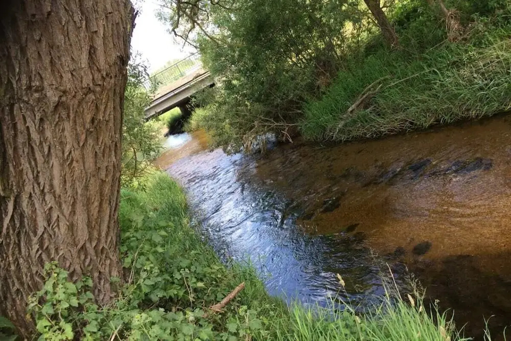 Höbarth