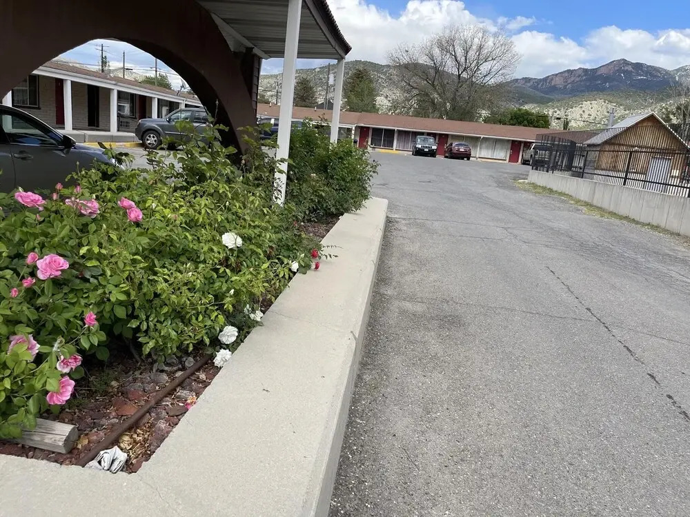 Safari Motel