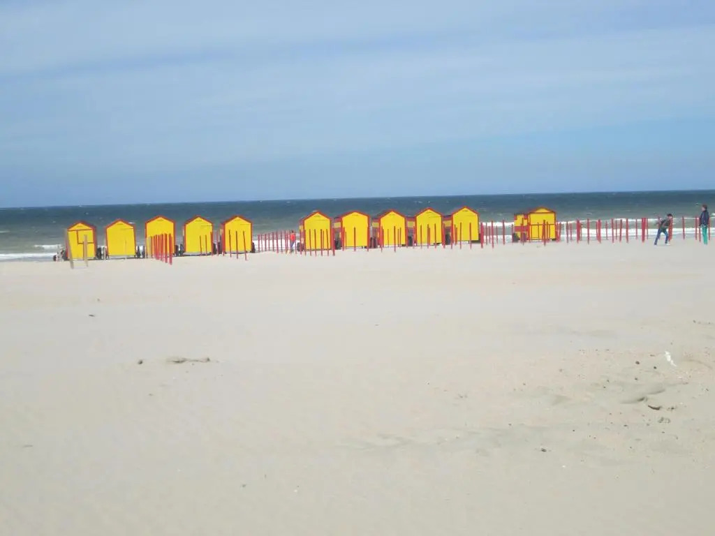 Appartement Delmare