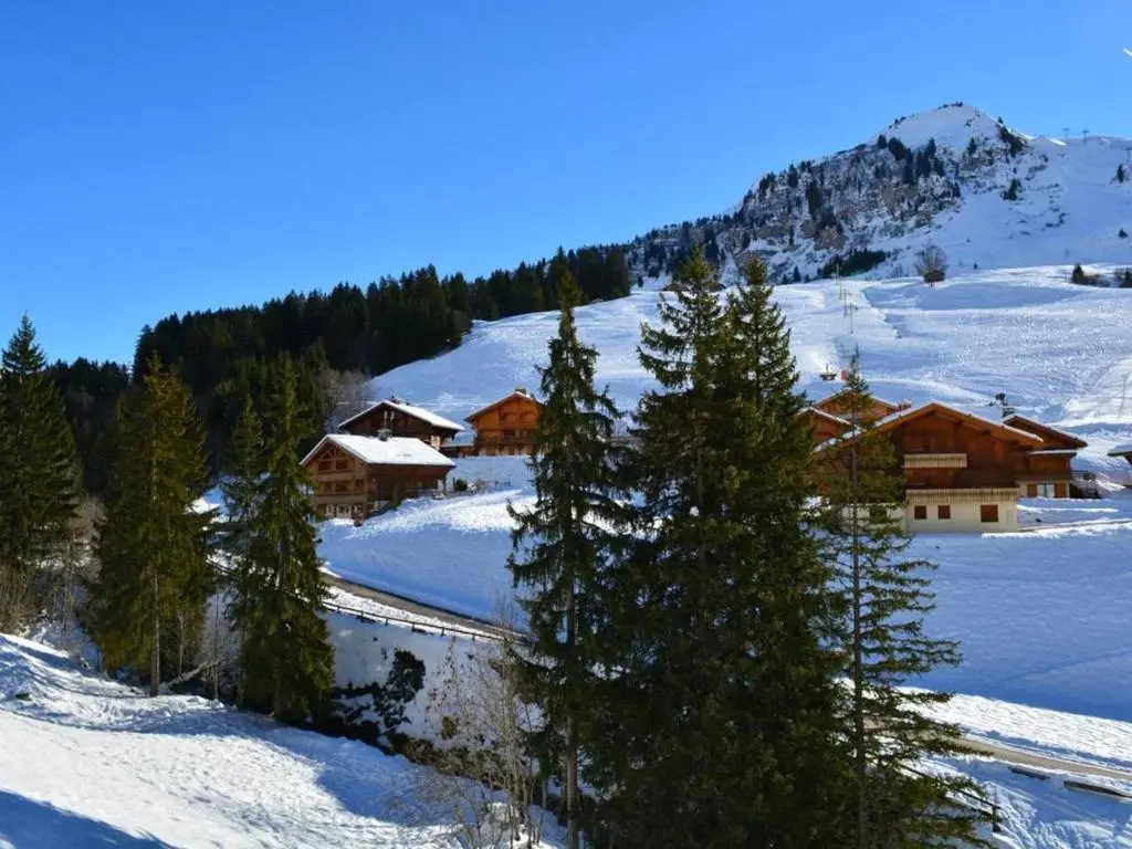 Appartement Le Grand-Bornand, 2 pièces, 6 personnes - FR-1-241-16