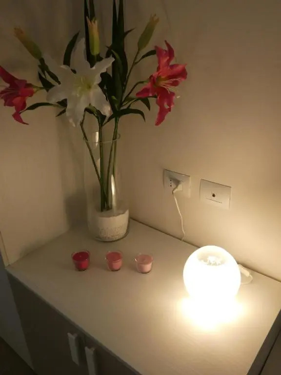Metro Apartment