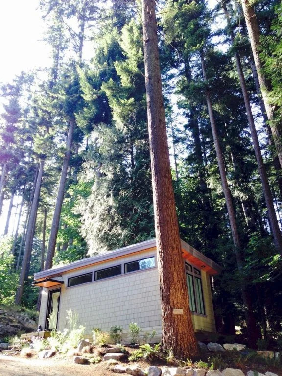 Nectar Yoga B&B Bowen Island