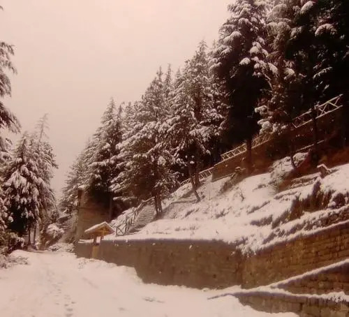 Kudrat - A Boutique Homestay- Tirthan Valley