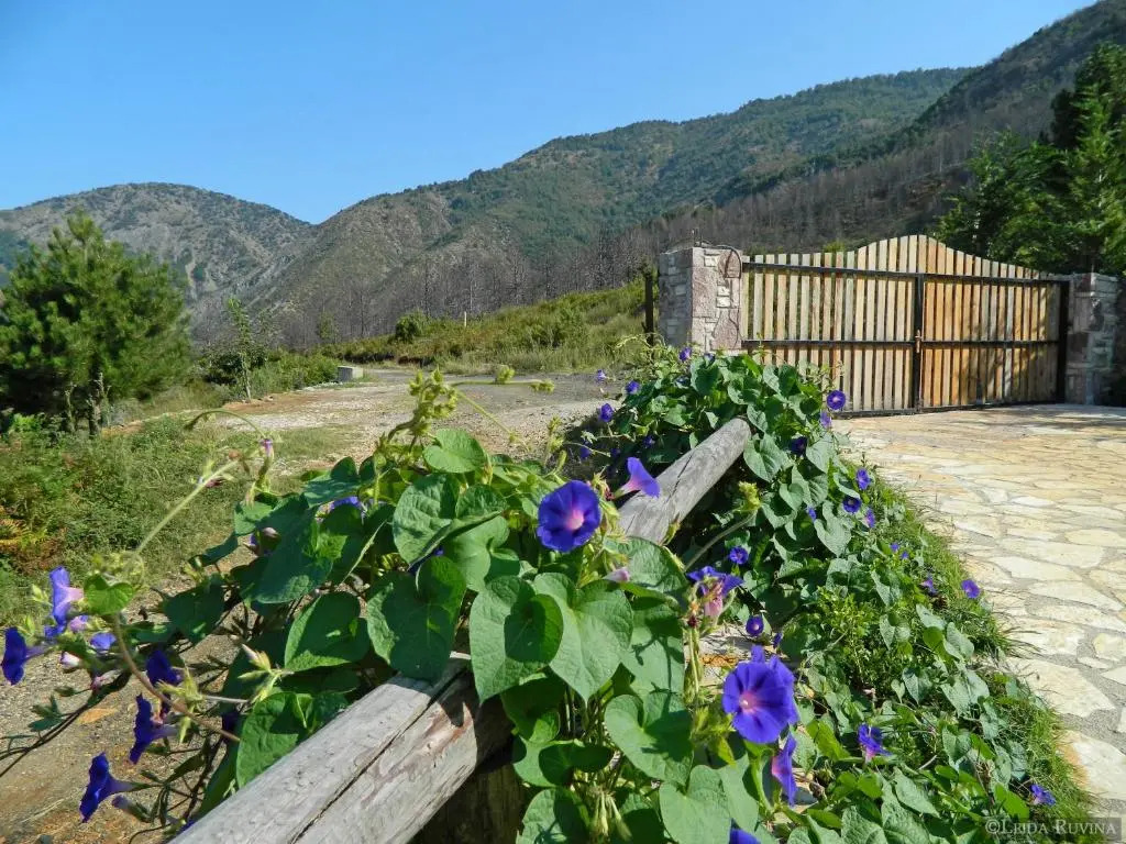 Sofra e Shpatit Hotel