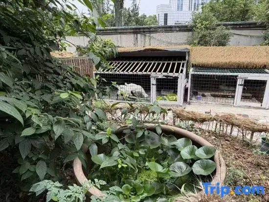 Qingxili Hotel (Hefei High-speed Railway West Station)