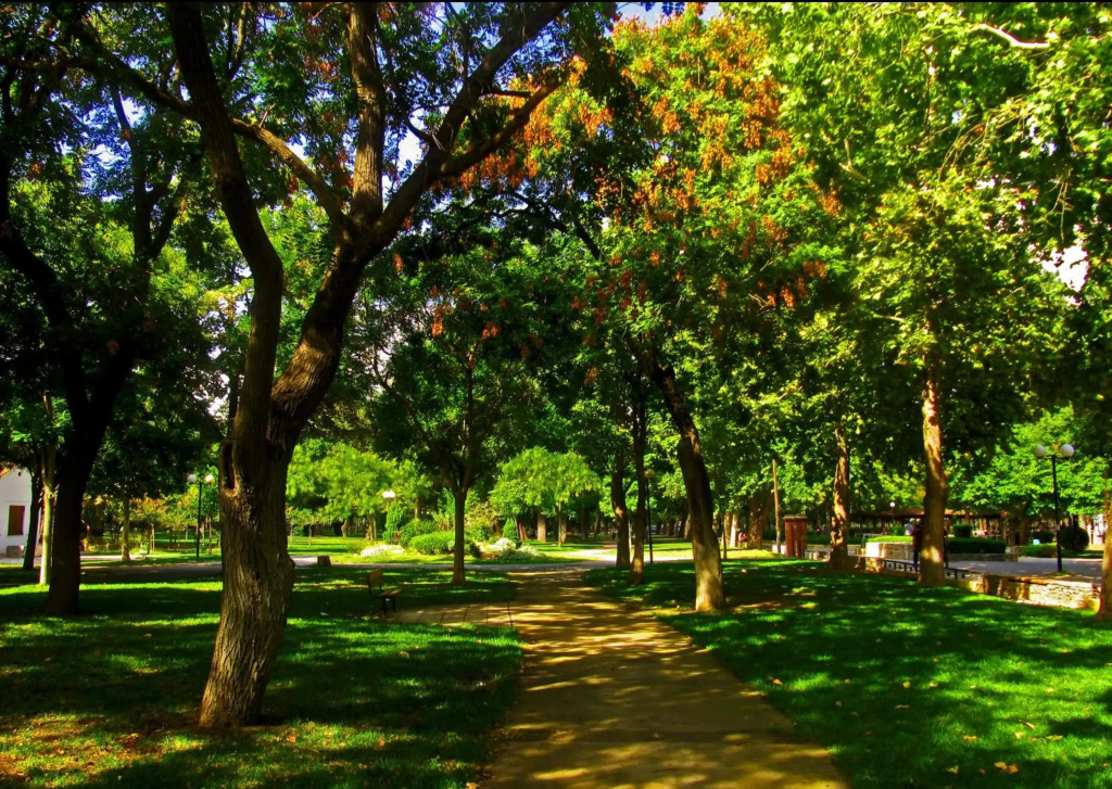 Hotel Park