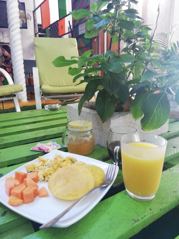 Tree House Hostel