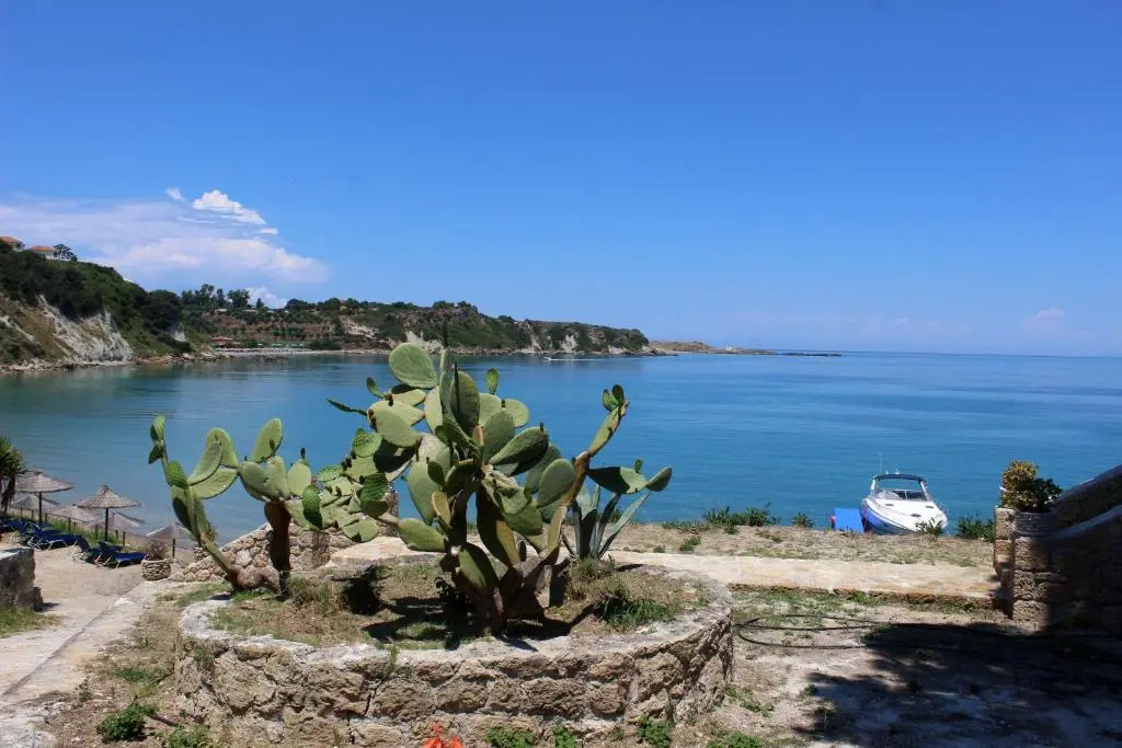 Zante Yliessa