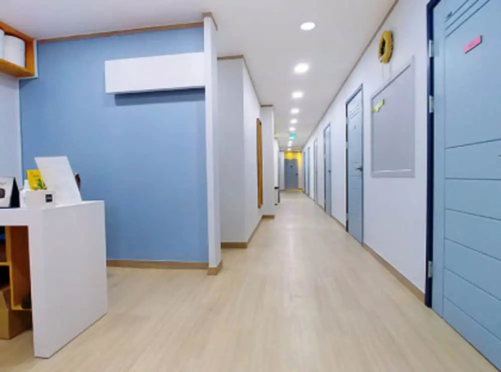 Seollem Guesthouse - Hostel