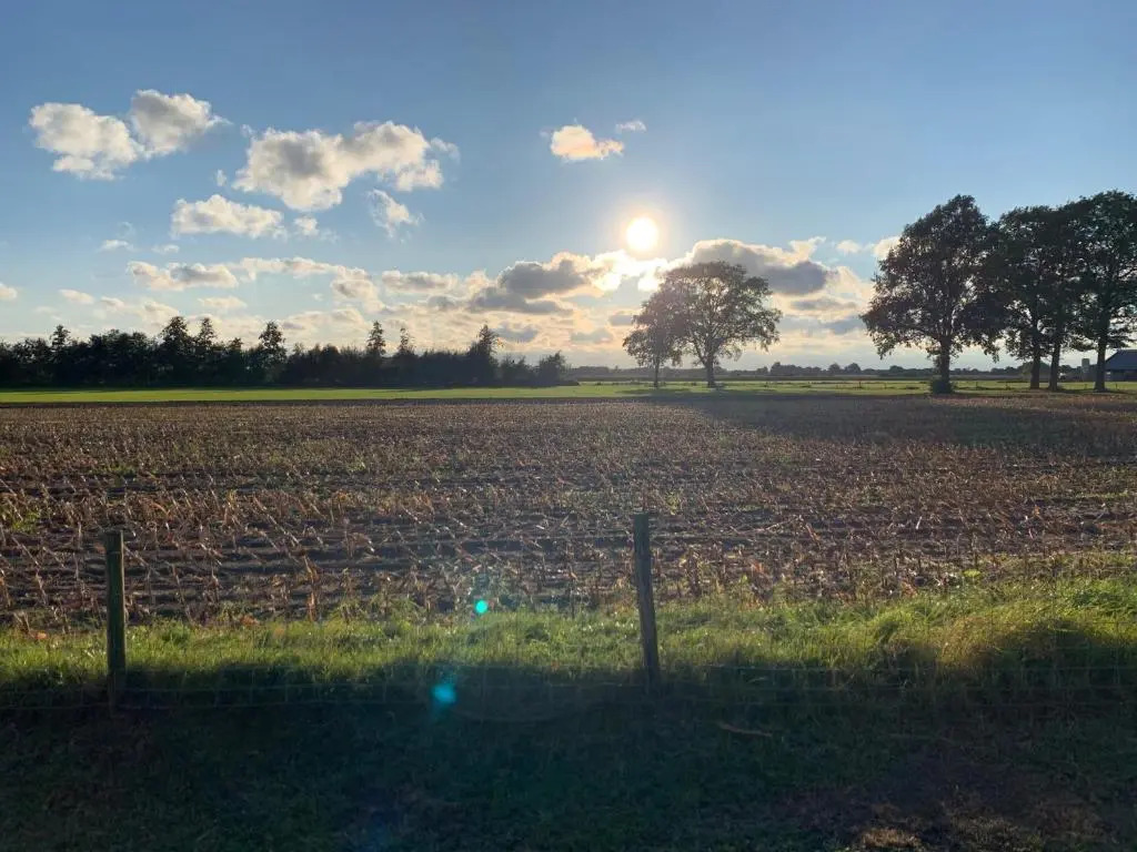 Hoeve Zandbelt