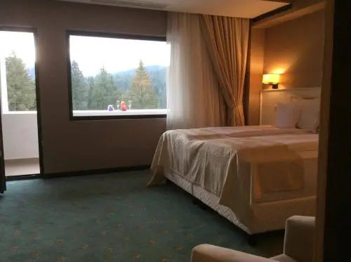 Hotel Hart