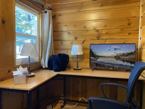 Pine Forest Cabin